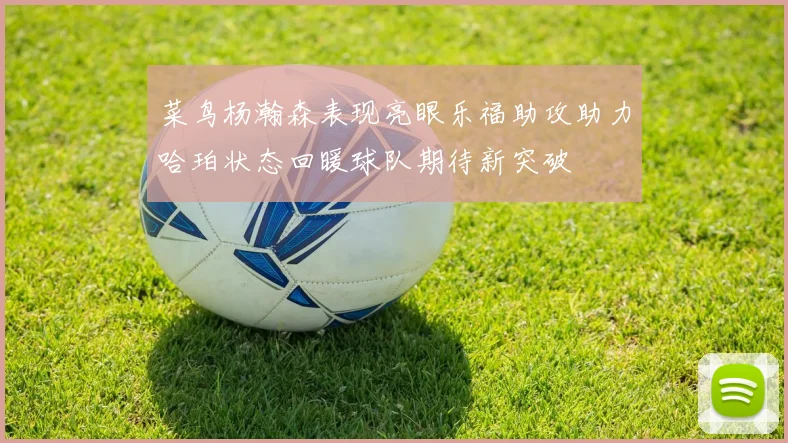 菜鸟杨瀚森表现亮眼乐福助攻助力哈珀状态回暖球队期待新突破